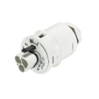 Wieland - embase RST20i3 mâle M16 à vis Gris clair