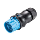 Wieland - Con. RST20i7 droit femelle à vis simple 10-14mm bleu clair