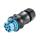 Wieland - Con. RST20i7 droit mâle à vis simple 10-14mm bleu clair
