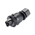 Wieland - embase RST20i3 coudé 7° mâle M16 à vis Noir