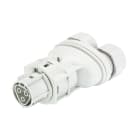 Wieland - connecteur RST20i3 femelle double à vis 6-10mm Gris clair ATEX