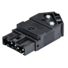 Wieland - connecteur GST15i4 mâle s1 zw1v noir