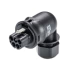 Wieland - connecteur RST20i4 coudé mâle à vis 6-10mm Noir