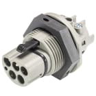 Wieland - embase RST25i5 mâle à vis M25 6mm² Gris