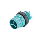 Wieland - embase male RST16i3 bleu turquoise