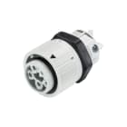 Wieland - embase femelle RST16i5 gris