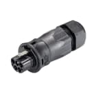Wieland - connecteur RST20i4 mâle à vis 13-18mm Noir