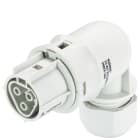 Wieland - connecteur RST20i3 coudé femelle à ressort 10-14mm Gris clair