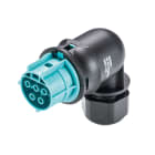 Wieland - connecteur RST20i5 coudé femelle à vis 10-14mm Turquoise