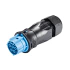 Wieland - connecteur RST20i5 femelle à vis 13-18mm Bleu