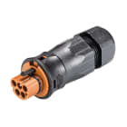 Wieland - connecteur RST20i5 mâle à vis 13-18mm marron