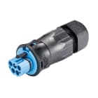 Wieland - connecteur RST20i5 mâle à vis 13-18mm Bleu