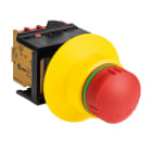Wieland - snh 1143 4 NC C
