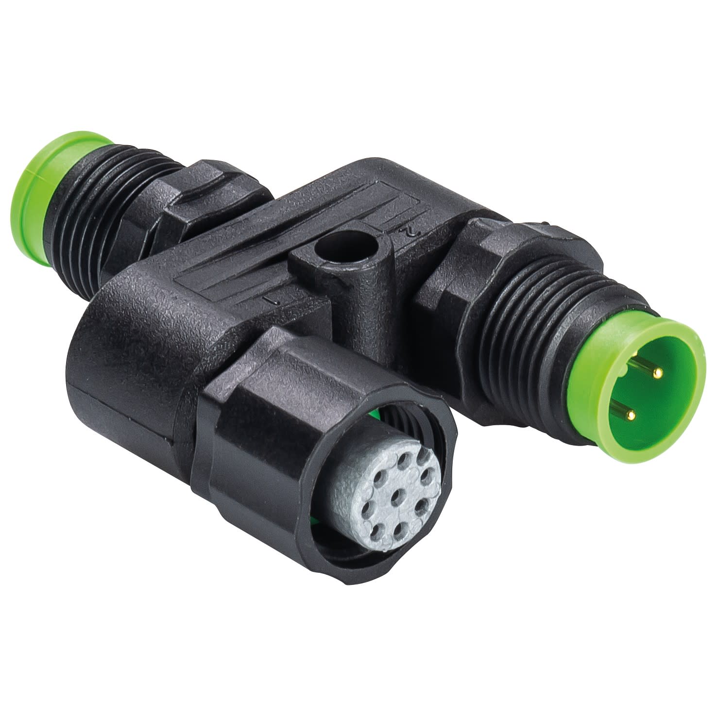 Wieland - sts-CON-488