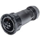 Wieland - connecteur RST50i5 mâle à vis 20-32mm Noir