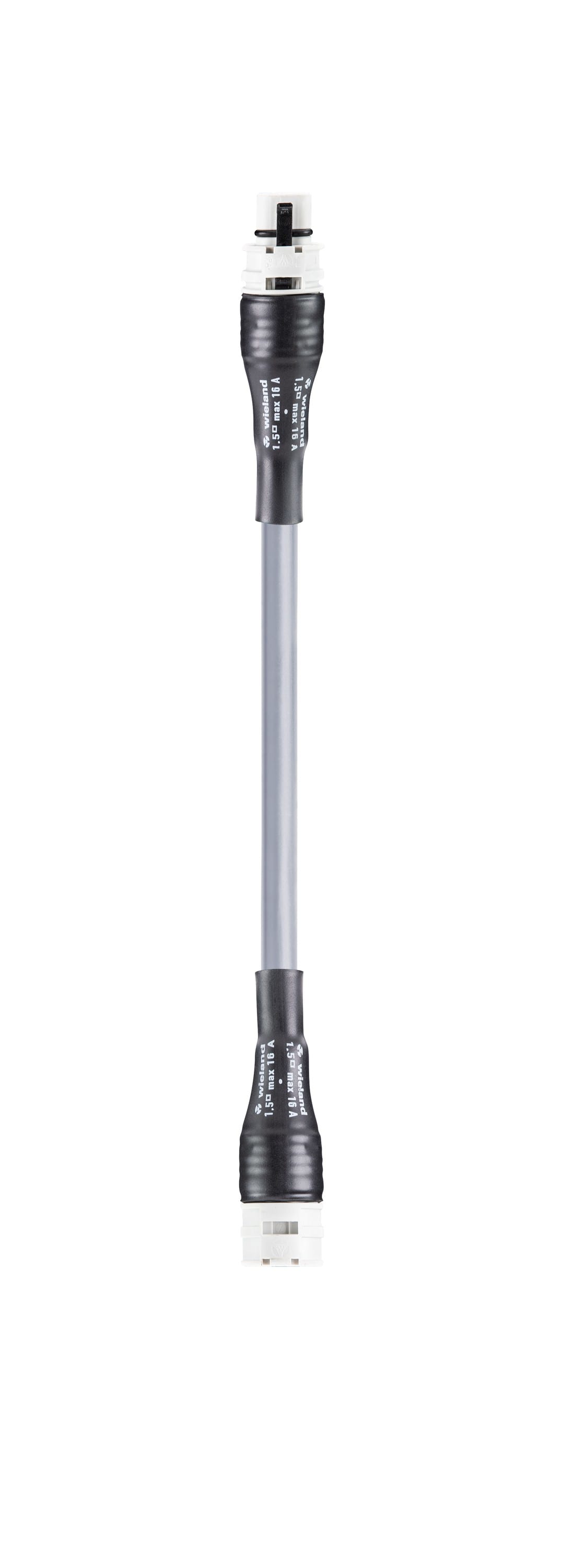 Wieland - cordon RST20i2 5m M/F 1,5² Öflex Gris foncé (Eca)