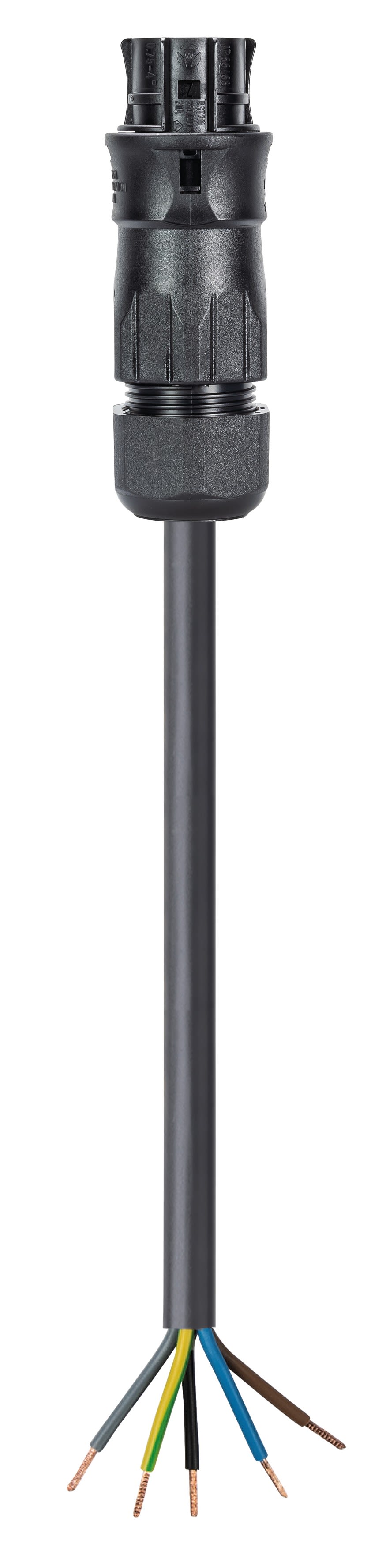 Wieland - cordon RST20i5 3m F/- 2,5² HO7RNF Noir ss halogène