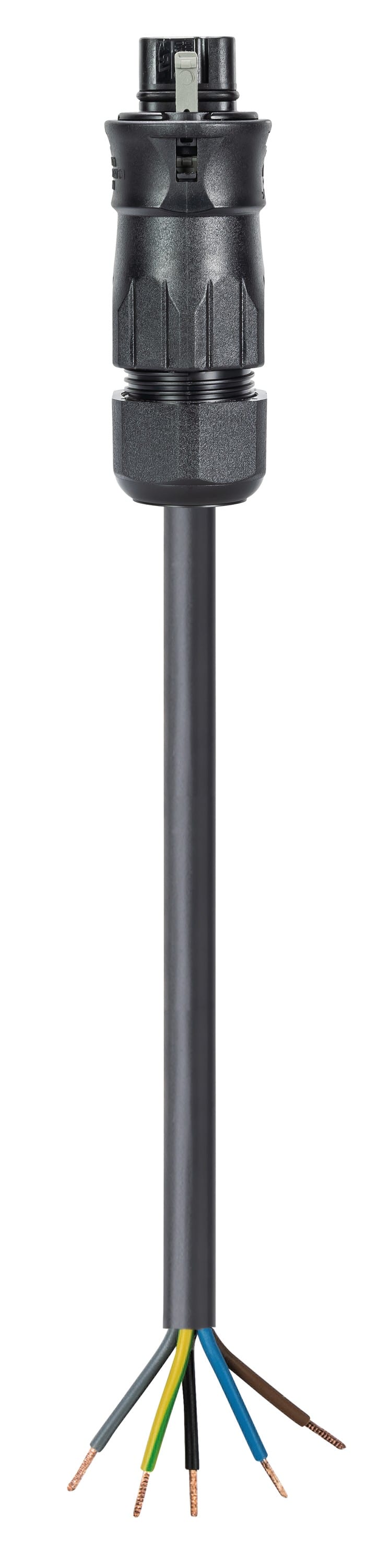 Wieland - cordon RST20i5 2m M/- 2,5² HO7RNF Noir ss halogène