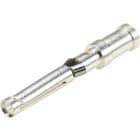 Wieland - contact femelle 0,14-0,37mm²