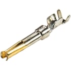 Wieland - contact femelle 0,09-0,25mm²