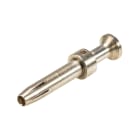 Wieland - contact femelle RST20i5 à sertir 2,5mm²
