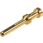 Wieland - contact mâle à sertir 4 mm² doré