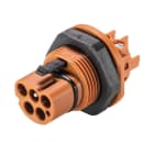 Wieland - embase RST20i4 mâle à vis M25 Marron