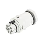 Wieland - Embase RST20i7 M25 mâle à vis gris