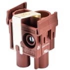 Wieland - module femelle courant fort fle bus 1p 25 1k ag