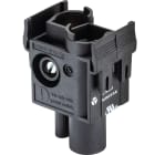 Wieland - module mâle courant fort 2p m 82a fle sts 2 25 1k ag