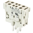 Wieland - insert modulaire bloc cont.males fle stf 4 2,5 40 ag