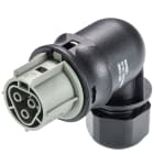 Wieland - connecteur RST25i3 coudé femelle à vis 6-10mm Gris