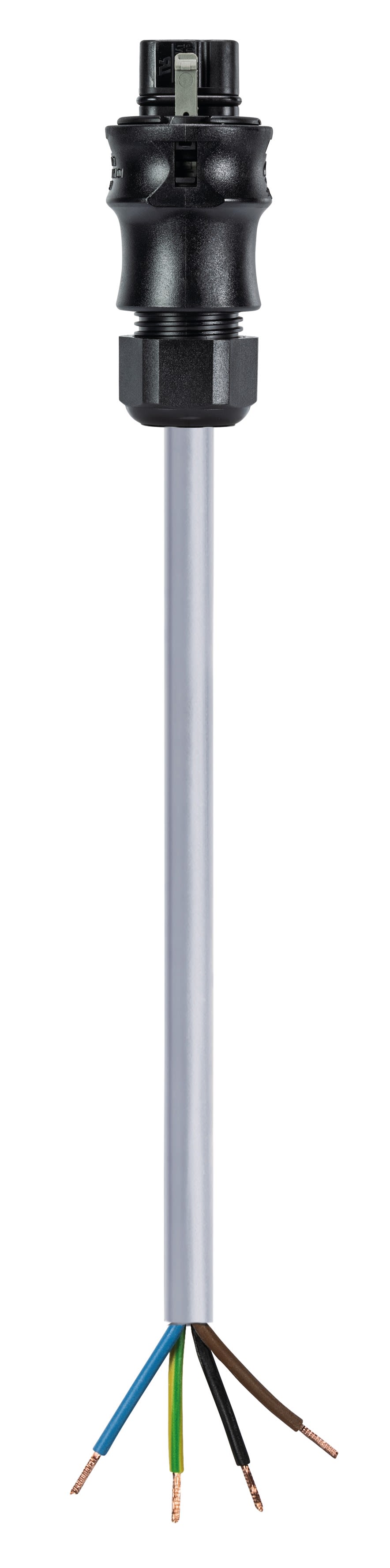 Wieland - cordon RST20i4 1m M/- 1,5² Öflex Noir