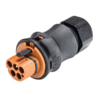 Wieland - connecteur RST20i4 mâle à vis 6-10mm Marron
