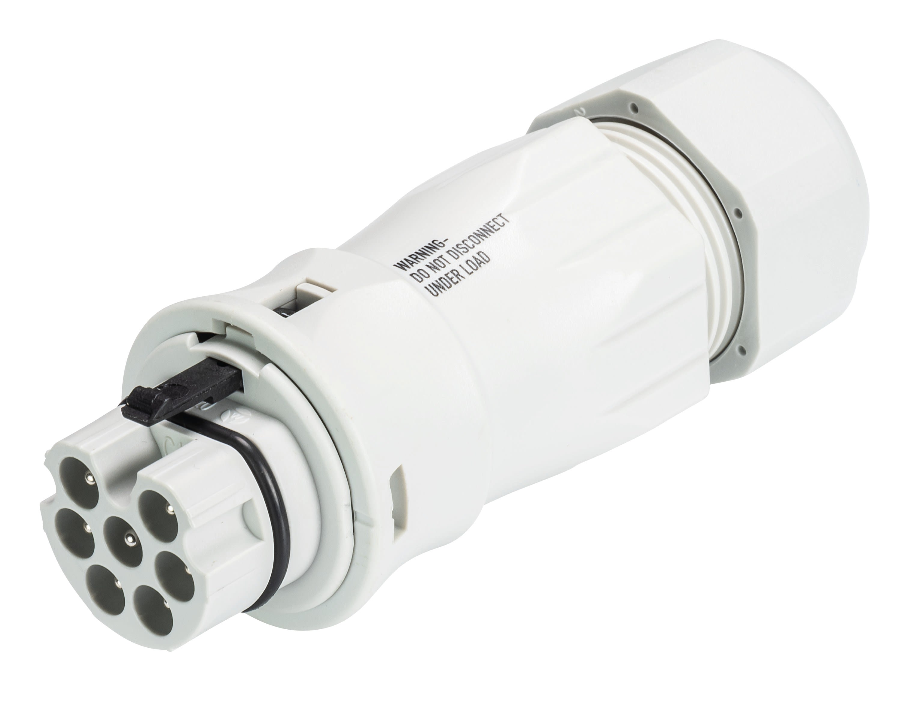 Wieland - Con. RST20i7 droit mâle à vis simple 13-18mm gris