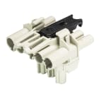 Wieland - répartiteur 1E/1S GST18i5 + 1S GST18i3 L1 en T Gris