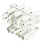 Wieland - répartiteur 1E/1S GST18i5 + 6S GST18i3 Blanc