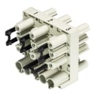 Wieland - répartiteur 1E/1S GST18i5 + 6S GST18i3 Gris