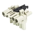 Wieland - répartiteur 1E/2S GST18i5 en T Gris