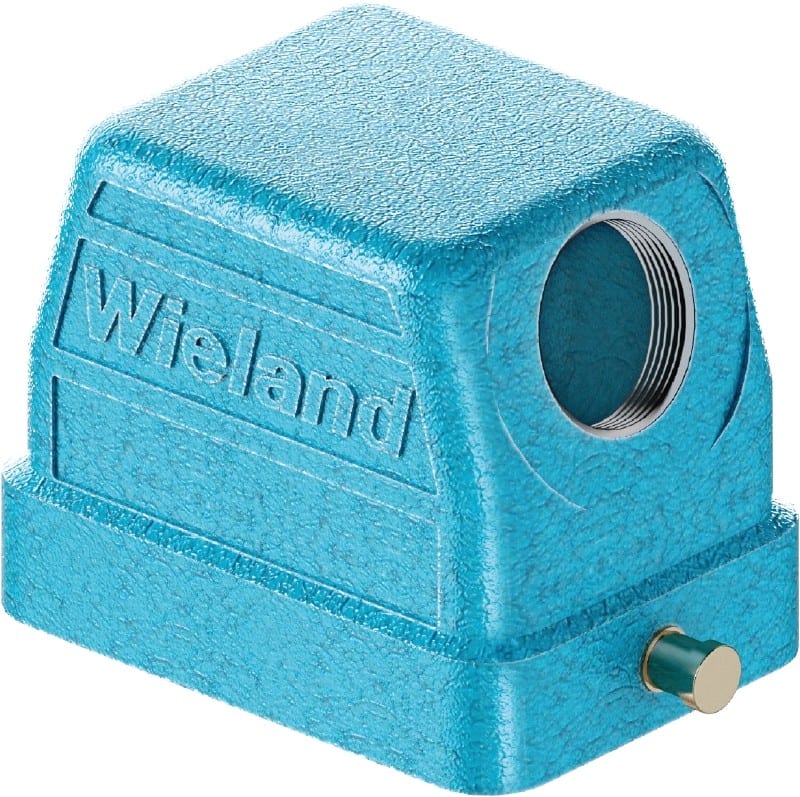 Wieland - capot ex got gg 6 m20 09ia z1-capot