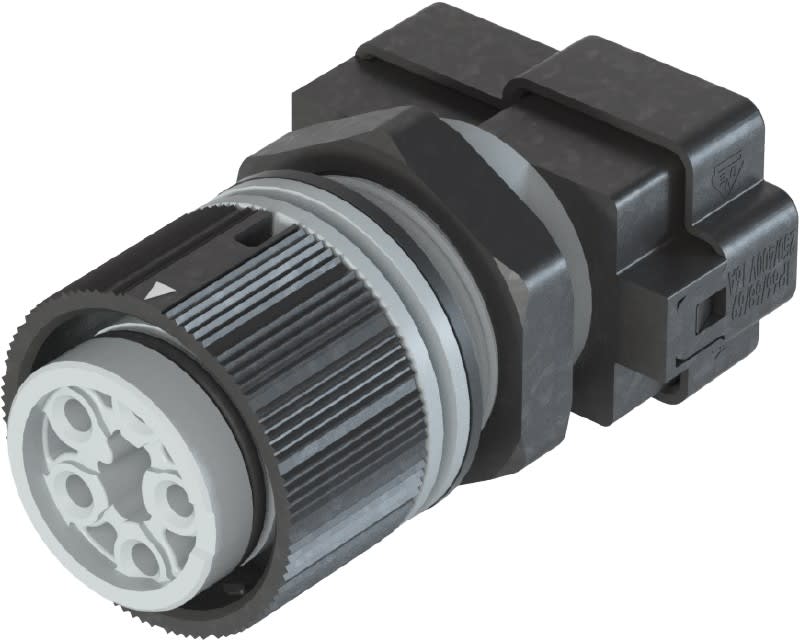 Wieland - Embase RST16i5 MOLA femelle à ressort gris