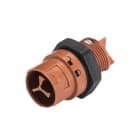 Wieland - embase male RST16i2 marron