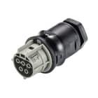 Wieland - embase RST25i5 femelle à vis M20 Gris