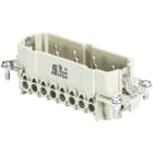 Wieland - bldc cont. males bas sts 6 2,5 64-insert mâle