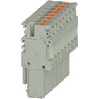 Wieland - FICHE FEMELLE    WTPN 2.5 PG08P