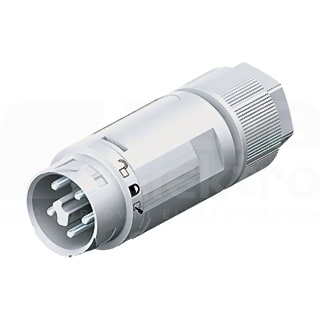 Wieland - connecteur mâle RST16i5 gris