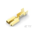 Te Connectivity (EX TYCO SIMEL) - Clip Nu pour languette 6,3 x 0,8mm-Section: 0,8 à 2,1mm²-Laiton brillant