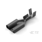 Te Connectivity (EX TYCO SIMEL) - Clip Nu pour languette 6,3 x 0,8mm-Section: 0,3 à 0,8mm²-Laiton étamé