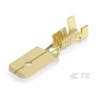 Te Connectivity (EX TYCO SIMEL) - Languette FASTON nue 6,35 x 0,8mm-Section: 0,8 à 2mm²-Laiton nu