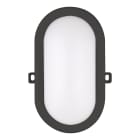 Bailey - Hublot LED Basic Ovale 6W 3000K 420lm IP54 240V Plafonnier / Applique